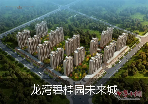 龙湾碧桂园未来城